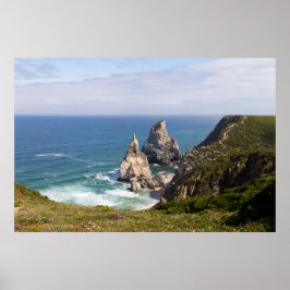 Póster Playa de la osa