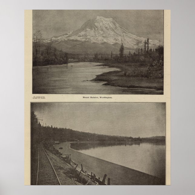 Póster Playa de Mt Rainier Steilacoom (Frente)