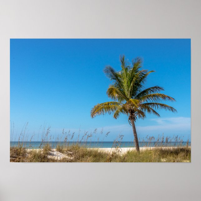 Póster Playa de palmeras de Florida (Frente)