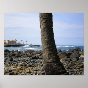 Póster Playa de Puerto Rico por RZB