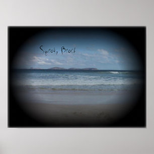 Póster Playa de Squeaky 1