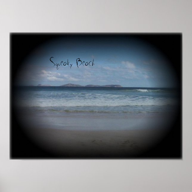 Póster Playa de Squeaky 1 (Frente)