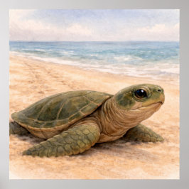 Póster Playa de Tortugas Marinas 