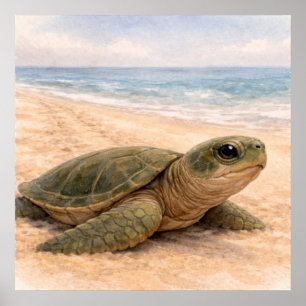 Póster Playa de Tortugas Marinas 