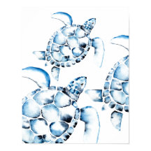 Playa de Turcas de Mar de Color Azul