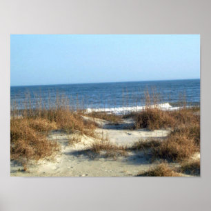 Póster Playa de Tybee