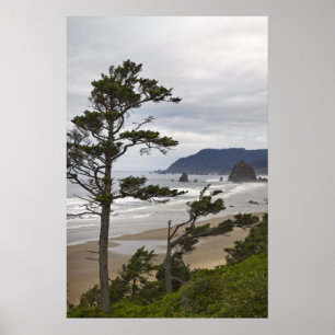 Póster Playa del cañón de Tolovana en el Océano Pacífico