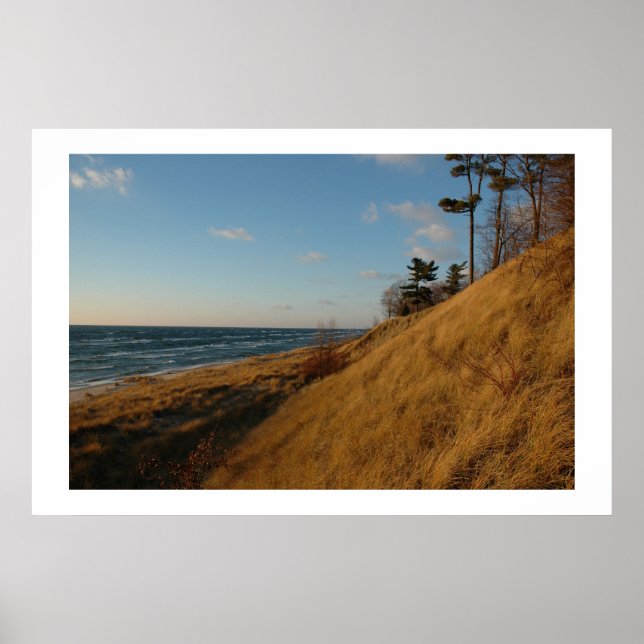 Póster Playa del lago Michigan a fines de otoño (Frente)