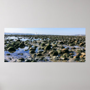 Póster Playa del Viejo Hombre- Playa Estatal de San Onofr