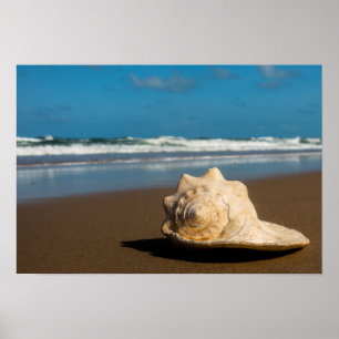 Póster Playa futura