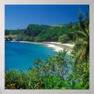 Póster Playa Hana Maui de Hamoa
