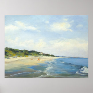 Póster Playa Isabella