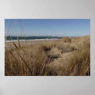 Póster Playa Limantour en Point Reyes II