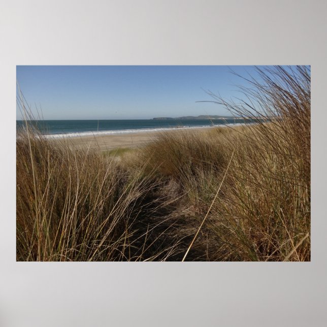 Póster Playa Limantour en Point Reyes National Seashore I (Frente)