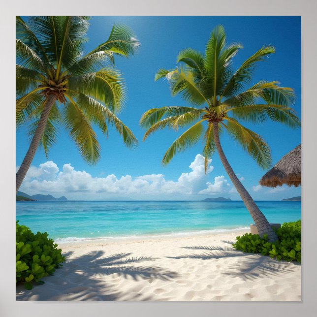 Póster Playa norteamericana abandonada (Frente)