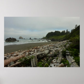 Póster Playa Oculta I en el Parque Nacional Redwood