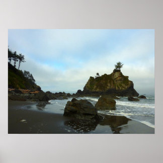 Póster Playa Oculta II en el Parque Nacional Redwood