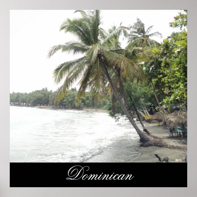 Póster Playa Palenque en República Dominicana (Frente)