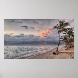 Póster Playa Palm Tree Isla Tropical