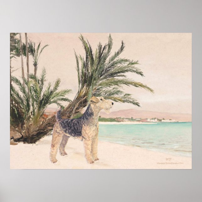 Póster Playa Palmy (Frente)