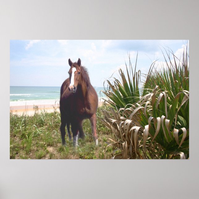 Póster Playa Poster de caballos (Frente)