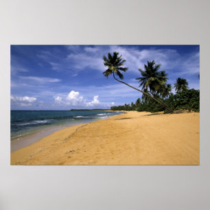 Póster Playa Puerto Rico 2