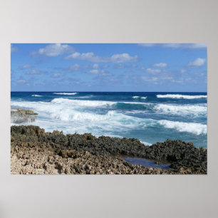Póster Playa rocosa de las Bahamas, Isla de Gran Abaco