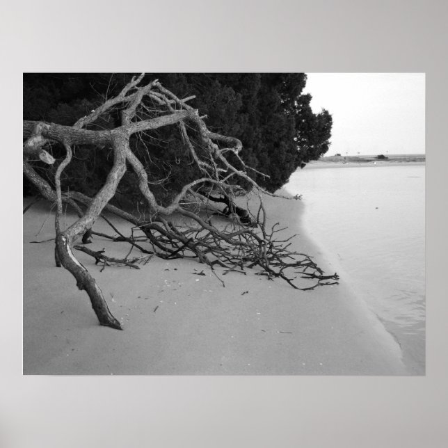 Póster Playa solitaria (Frente)