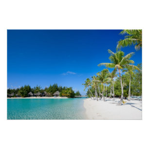 Póster Playa tropical
