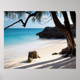 Póster Playa tropical