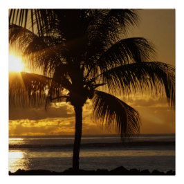 Póster Playa Tropical