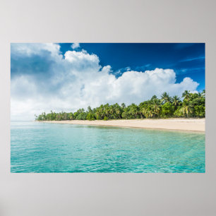 Póster Playa Tropical con Palmeras