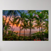 Playa Tropical | Parque nacional Corcovado