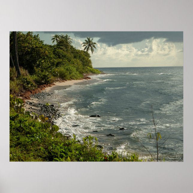 Póster Playa USVI del Mar de las Olas del Océano (Frente)