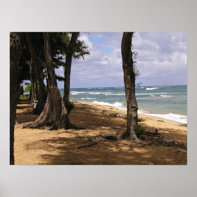 Póster Playa, Wailua, Kauai (Frente)