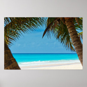 Póster Playa y palmeras