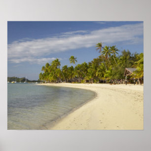 Póster Playa y palmeras, Plantation Island Resort