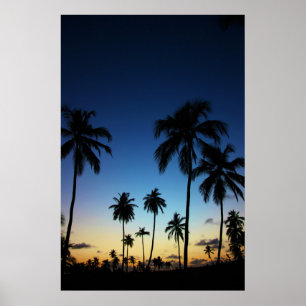 Póster Playa Y Pueblo Costero Praia Do Forte