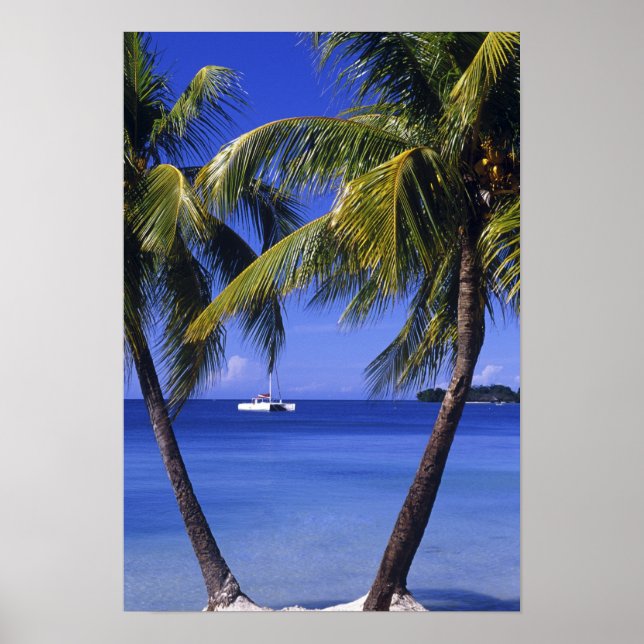 Póster Playas de Negril, Jamaica (Frente)