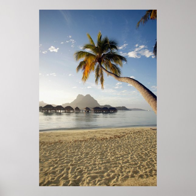 Póster Playas tropicales | Casas de playa, Bora Bora (Frente)
