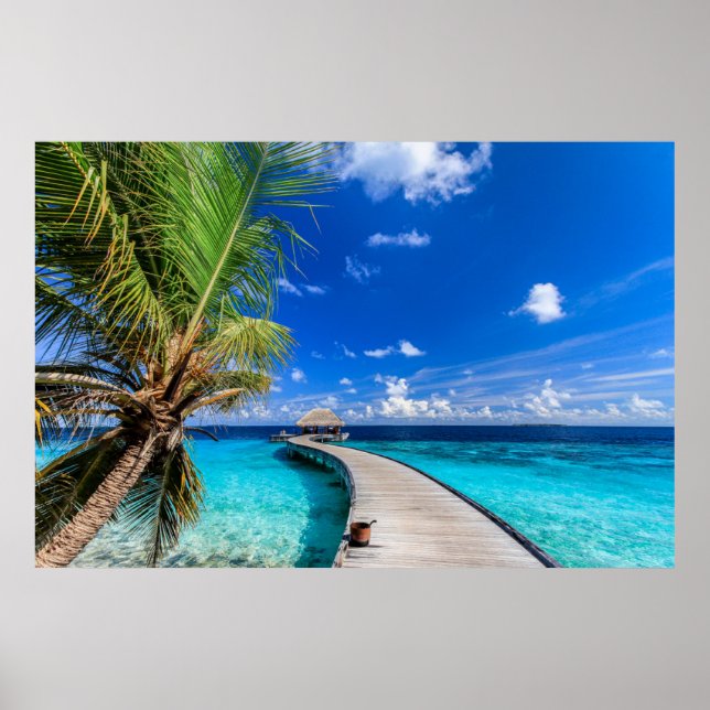 Póster Playas tropicales | Dusit Thani Maldives (Frente)
