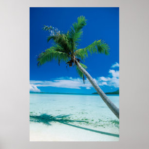 Póster Playas tropicales   Playa de Motu Tofari, Bora Bor