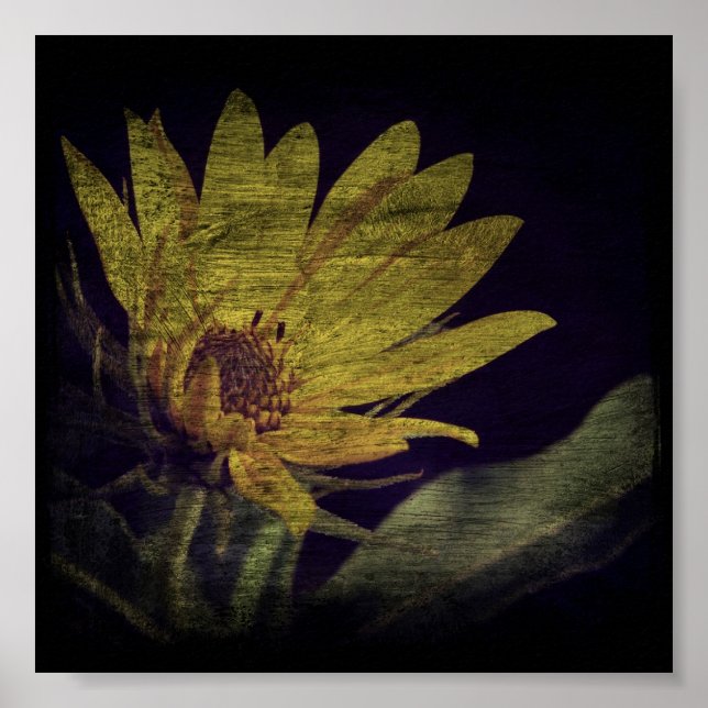 Póster Plaza de los Flores Silvestres (Frente)