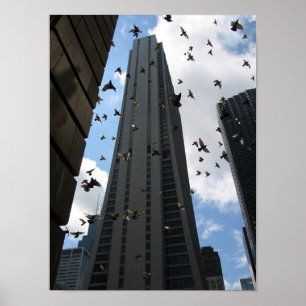Póster Plaza del banco uno contra escape de la paloma
