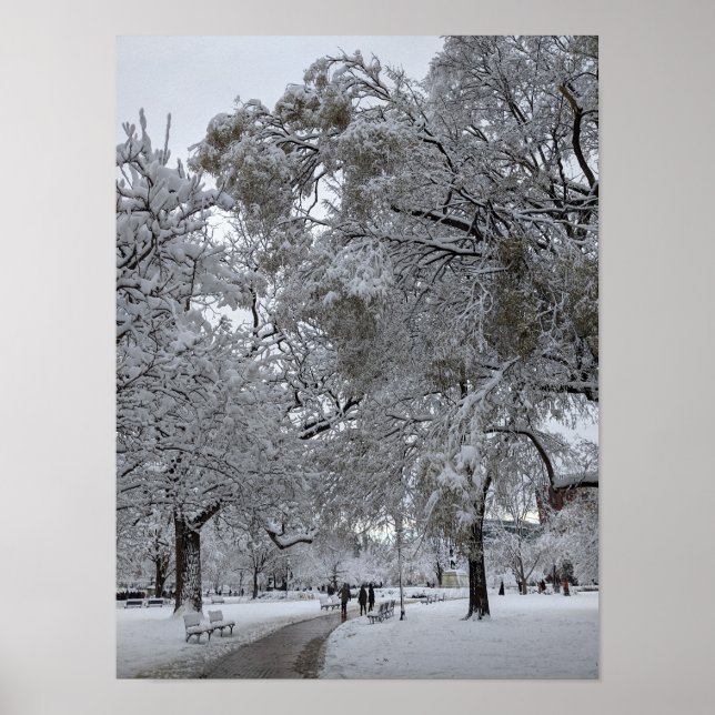 Póster Plaza Lafayette, Washington, DC, ruta de invierno (Frente)