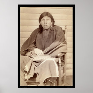 Póster Plenty Horses, Slayer of Lieutenant Casey SD 1891