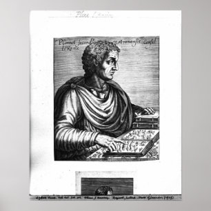 Póster Pliny the Elder