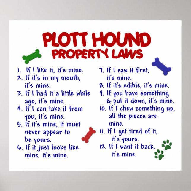 PÓSTER PLOTT HOUND PL2 (Frente)