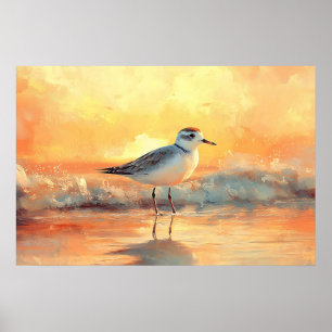 Póster Plover de pie en las olas del océano durante la pu