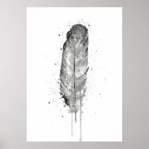 Póster Pluma